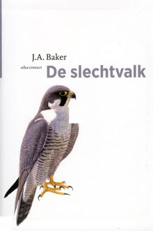 J.A. Baker De slechtvalk Vogelboek
