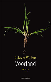 Octavie Wolters Vuurland Roman 2016