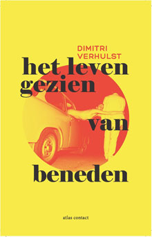 Dimitri Verhulst Het leven gezien van beneden Roman 2016