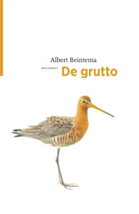 Albert Beintema De grutto Vogelboek