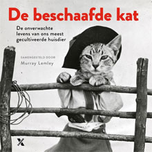 De beschaafde kat Recensie Fotoboek over Katten