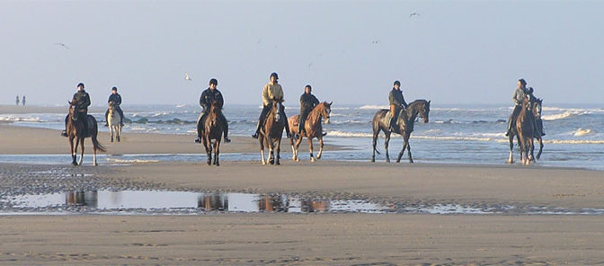 Kinderboekeno over Paarden