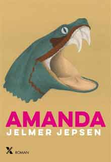 Jelmer Jepsen Amanda Recensie Roman