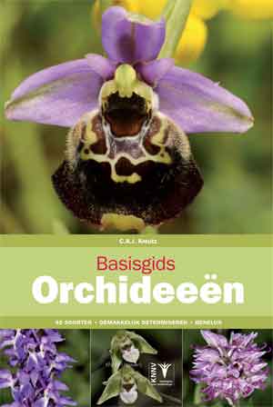 Basisgids Orchideeën Recensie Orchideeëngids