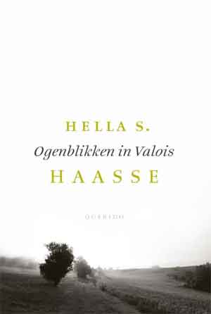 Hella S. Haasse Ogenblikken in Valois Recensie