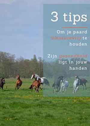 Jolien Dalenberg Paard blessurevrij houden Gratis Ebook