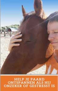 Jolien Dalenberg Help je paard ontspannen