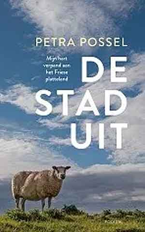 Petra Possel De stad uit Recensie