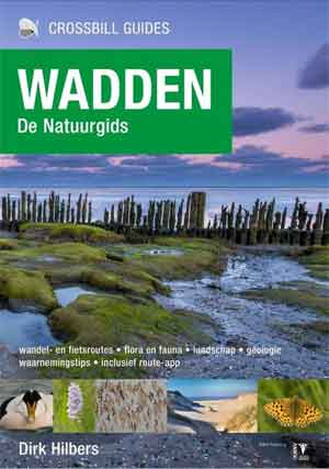 Wadden Natuurgids Recensie Dick Hilbers Wadden Natuurgids