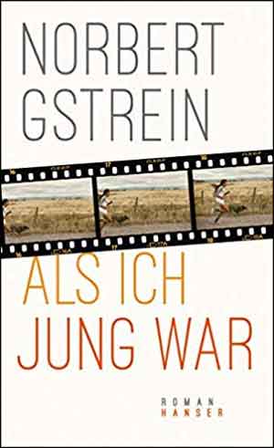 Norbert Gstrein Als ich jung war Recensie