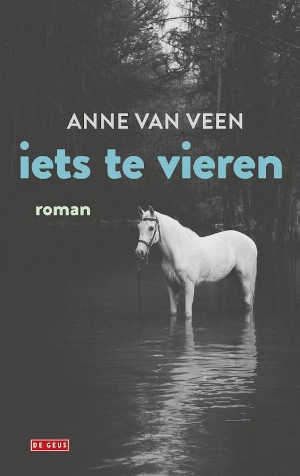 Anne van Veen Iets te vieren Recensie Roman