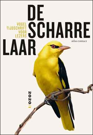 De Scharrelaar 3 Vogeltijdschrift Recensie