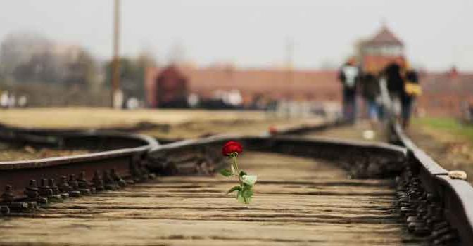 Boeken over Concentratiekamp Auschwitz en Birkenau