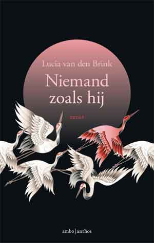 Lucia van den Brink Niemand zoals hij Recensie