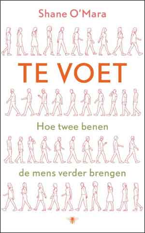 Shane O'Mara Te voet Recensie