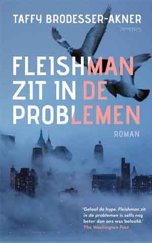 Taffy Brodesser-Akner Fleishman zit in de problemen Recensie