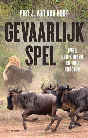 Piet J. van den Hout Gevaarlijk spel Recensie