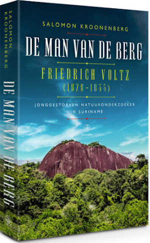 Salomon Kroonenberg De man van de berg Recensie