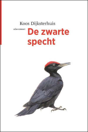 Koos Dijksterhuis De zwarte specht Recensie