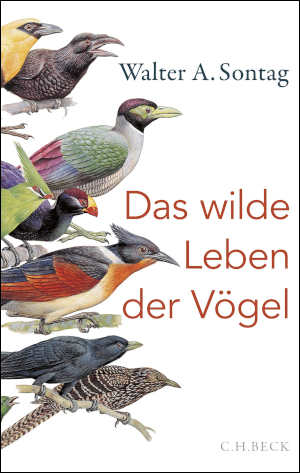 Walter A. Sontag Das wilde Leben der Vögel