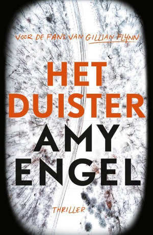 Amy Engel Het duister Recensie