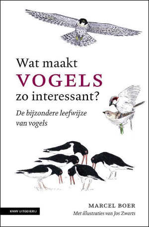 Marcel Boer Wat maakt vogels zo interessant Recensie