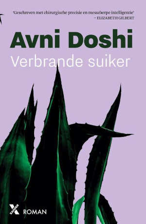 Avni Doshi Verbrande suiker Recensie