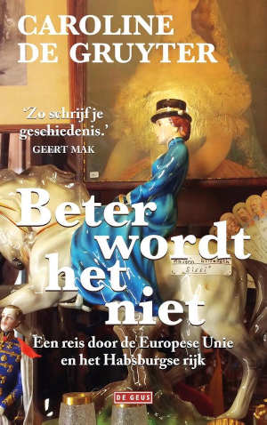 Caroline de Gruyter Beter wordt het niet Recensie