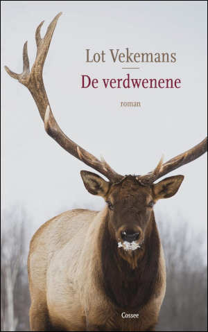 Lot Vekemans De verdwenene Recensie