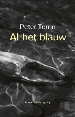 Peter Terrin Al het baluw Recensie roman