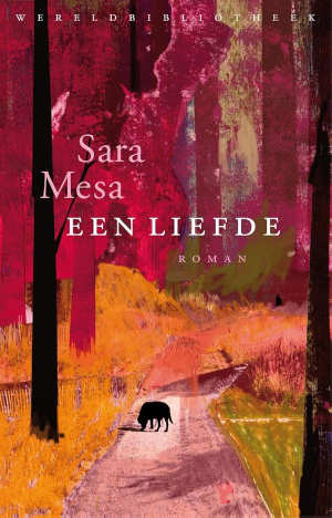 Sara Mesa Een liefde Recensie