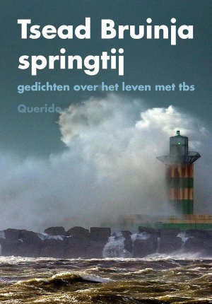 Tsead Bruinja springtij Recensie