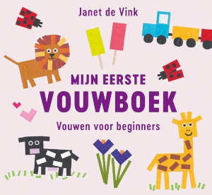 Janet de Vink Mijn eerste vouwboek met vouwvoorbeelden