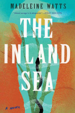 Madeleine Watts The Inland Sea Australische roman