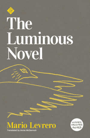 Mario Levrero The Luminous Novel Roman uit Uruguay