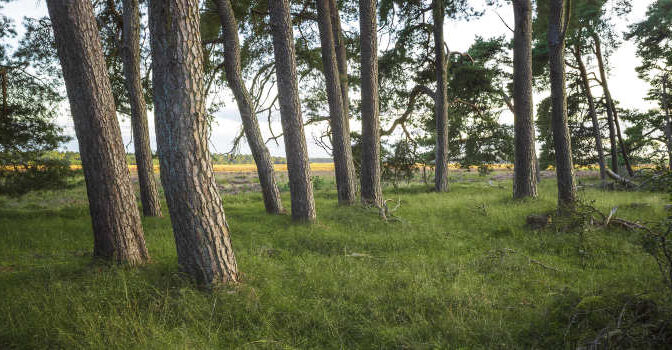 Gelderland reisgidsen boeken over Gelderland