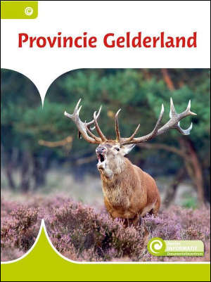 Provincie Gelderland Junior Informatie 79