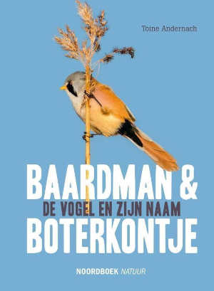 Toine Andernach Baardman en boterkontje Recensie