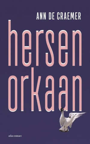 Ann De Craemer Hersenorkaan Recensie