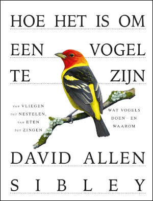 David Allen Sibley Hoe het is om een vogel te zijn Recensie