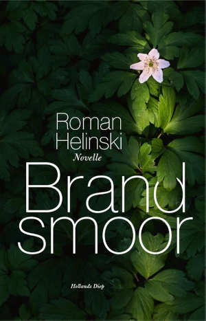 Roman Helinski Brandsmoor Recensie