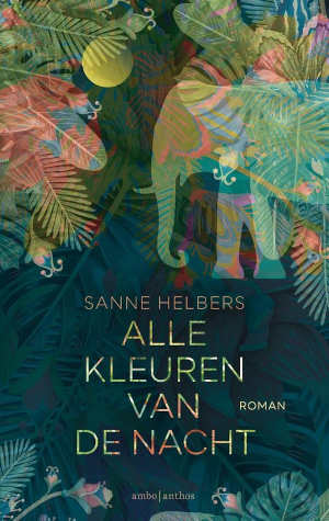 Sanne Helbers Alle kleuren van de nacht Recensie