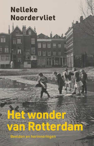 Nelleke Noordervliet Het wonder van Rotterdam Recensie