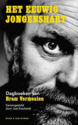 Bram Vermeulen Het eeuwig jongenshart dagboeken Recensie