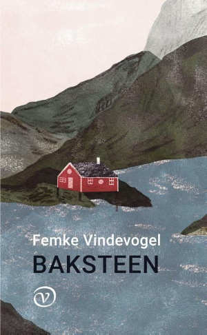 Femke Vindevogel Baksteen Recensie