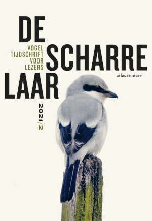 De Scharrelaar 6 Recensie Literair Vogeltijdschrift.