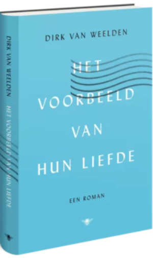 Dirk van Weelden Het voorbeeld van hun liefde Recensie