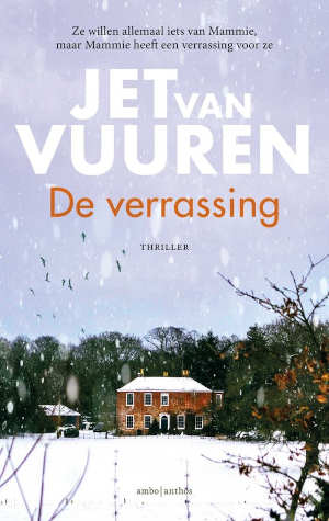 Jet van Vuuren De verrassing Recensie