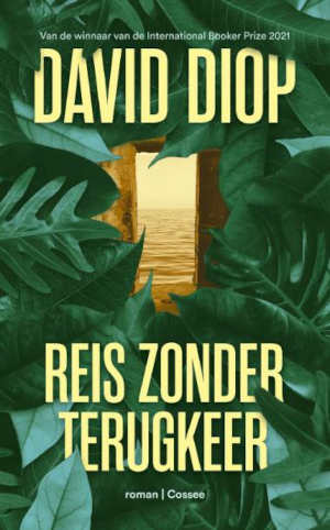 David Diop Reis zonder terugkeer Recensie