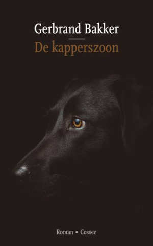 Gerbrand Bakker De kapperszoon Recensie